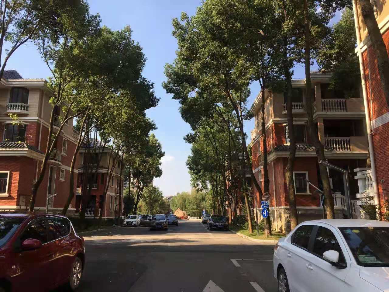 武漢卓峰地產(chǎn)最新動態(tài)揭秘，最新進展與動態(tài)更新