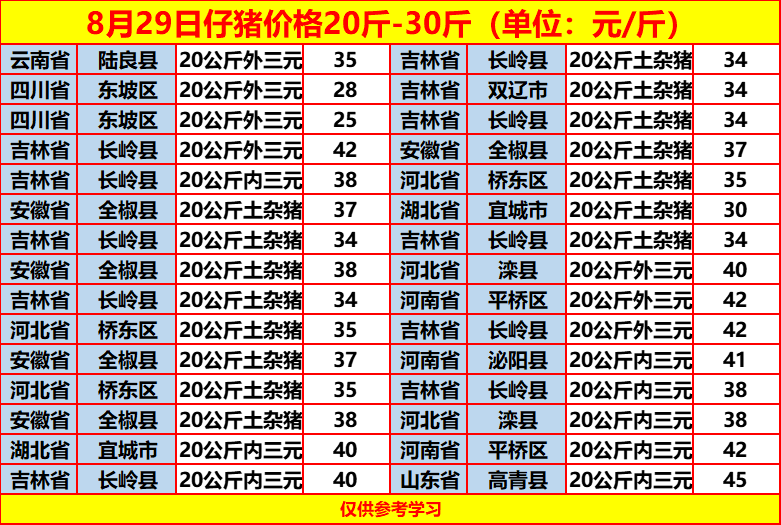 土雜豬最新價(jià)格動(dòng)態(tài)，一場(chǎng)尋找內(nèi)心平靜的旅程