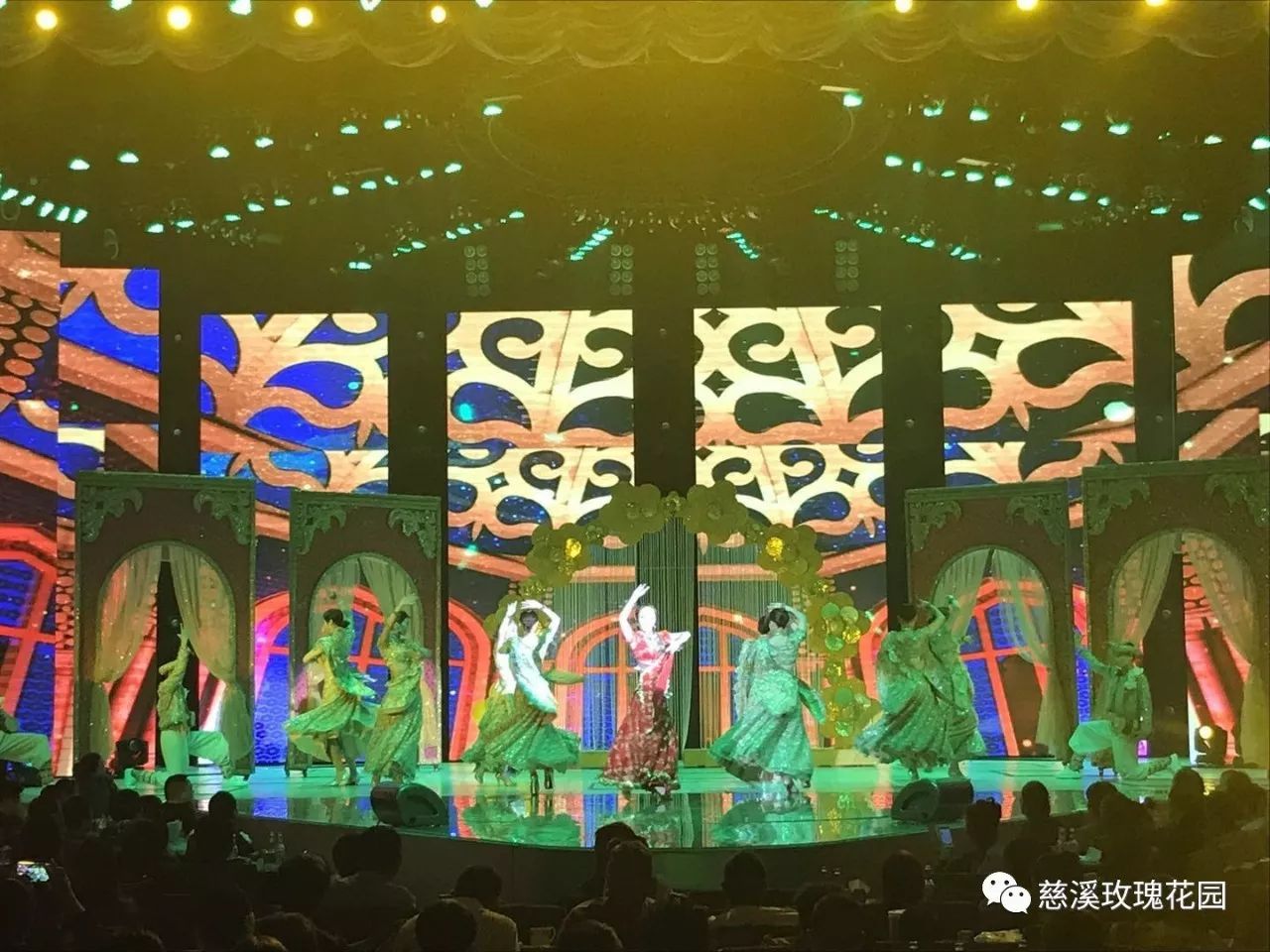 慈溪玫瑰花園最新視頻，綻放的玫瑰盛世美景