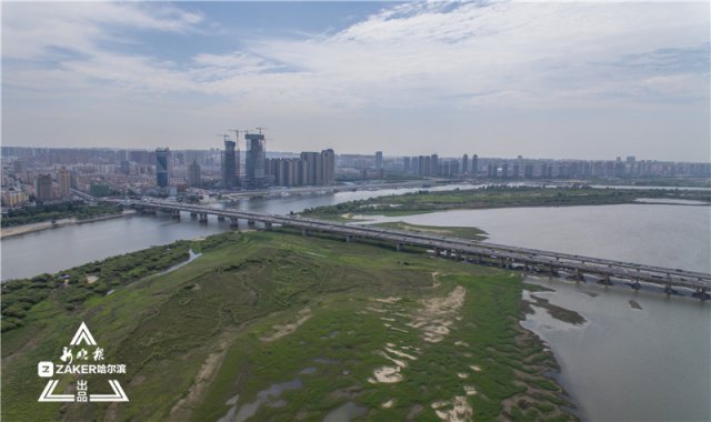 哈爾濱松花江最新水位深度觀察與解析報告