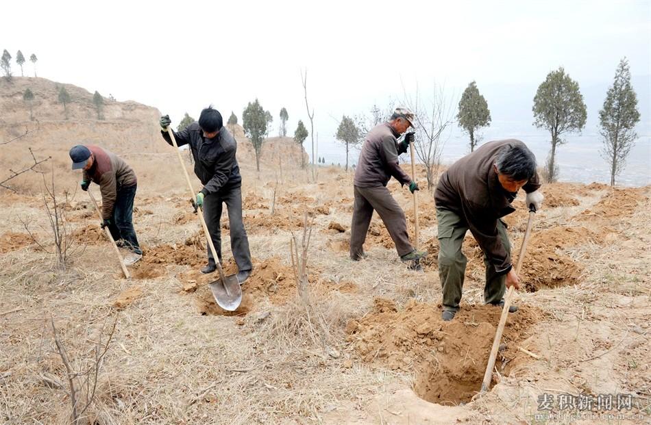 天水成紀新城，與自然美景的邂逅，探尋內(nèi)心平和之旅的最新動態(tài)